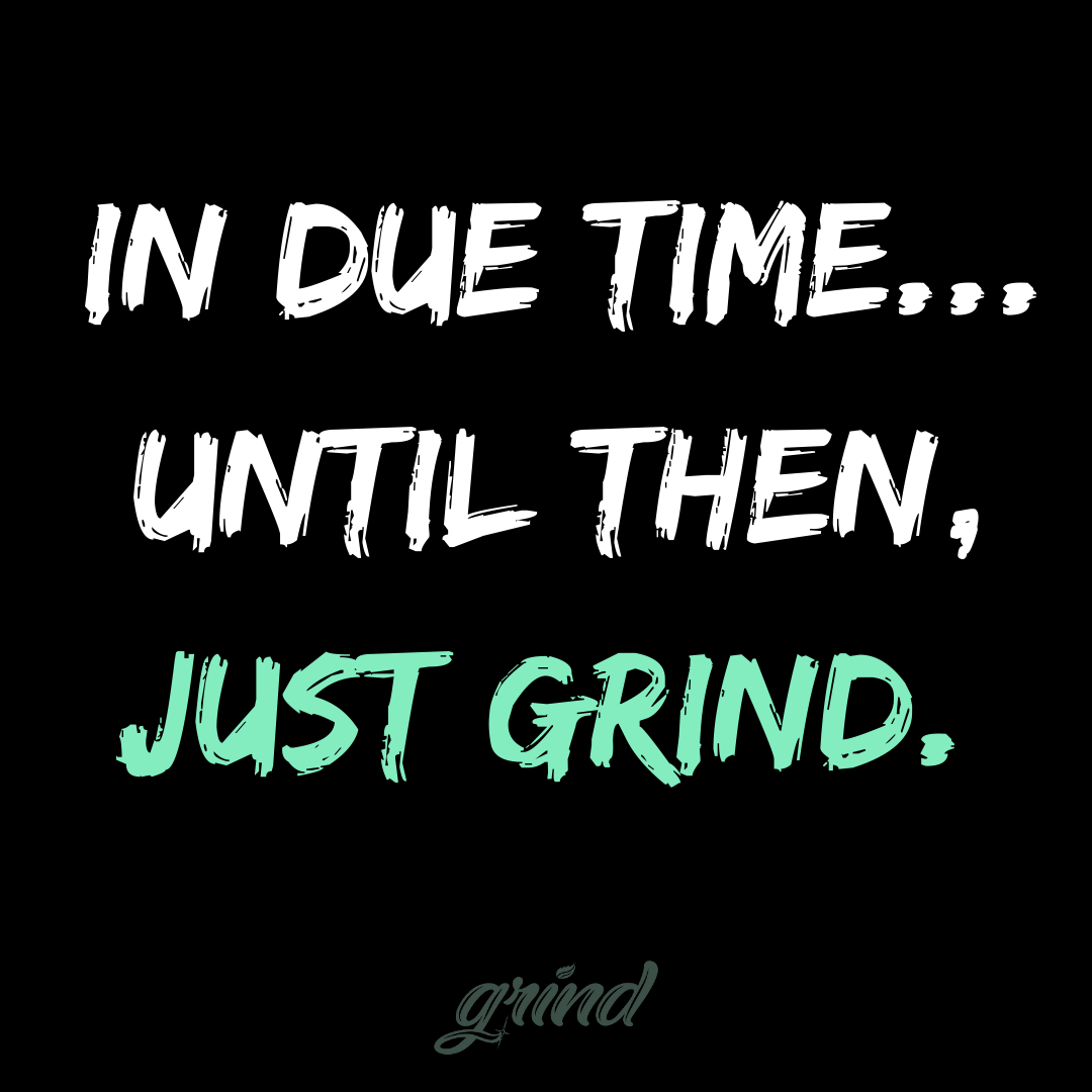 Year One Complete. The Grind Continues.